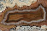 Colorful, Polished Condor Agate - Argentina #209596-1